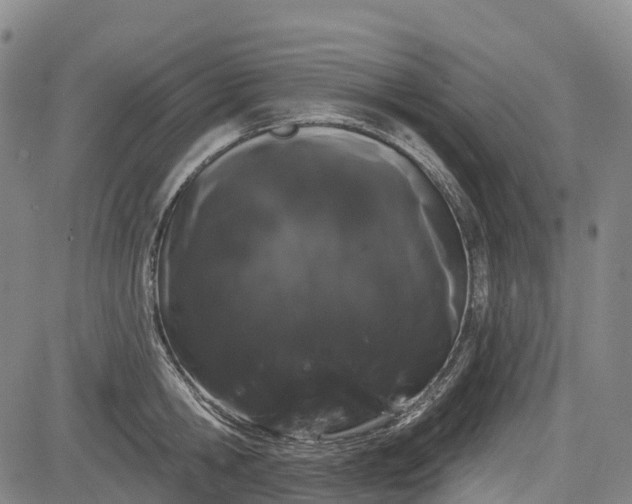 X0000085040806200703121432