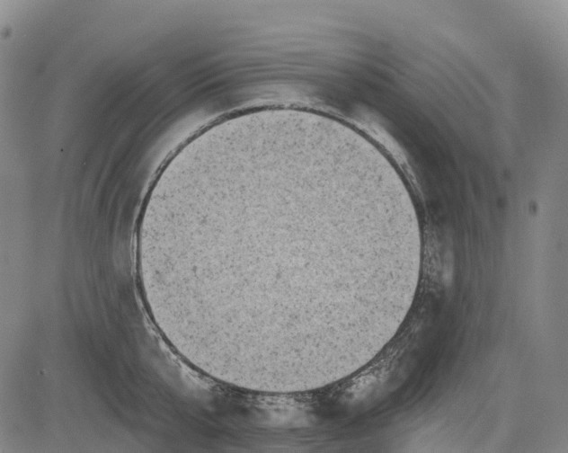 X0000085040807200703121432