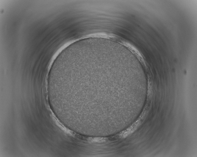 X0000085040808200703121432