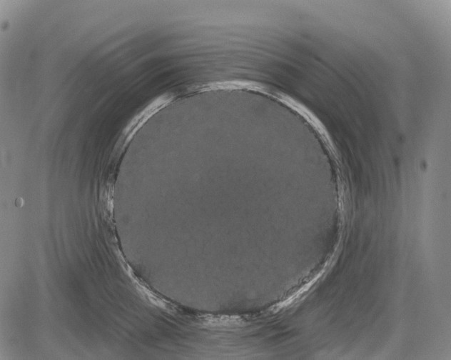 X0000085040809200703121432