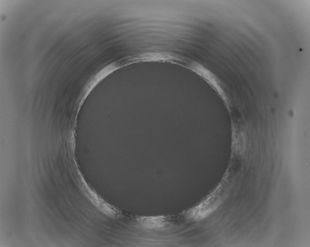 X0000085040810200703121432