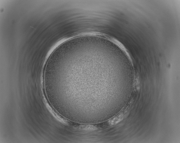 X0000085040811200703121432