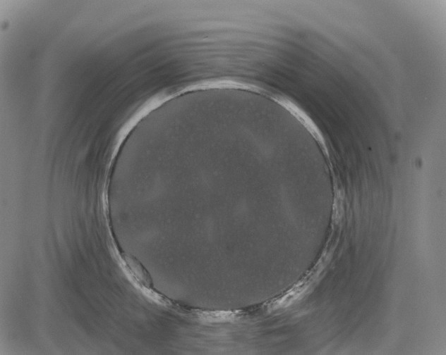 X0000085040813200703121432