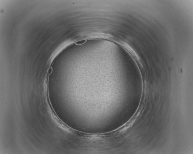 X0000085040814200703121432