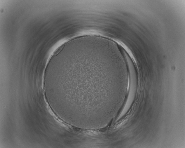 X0000085040815200703121432