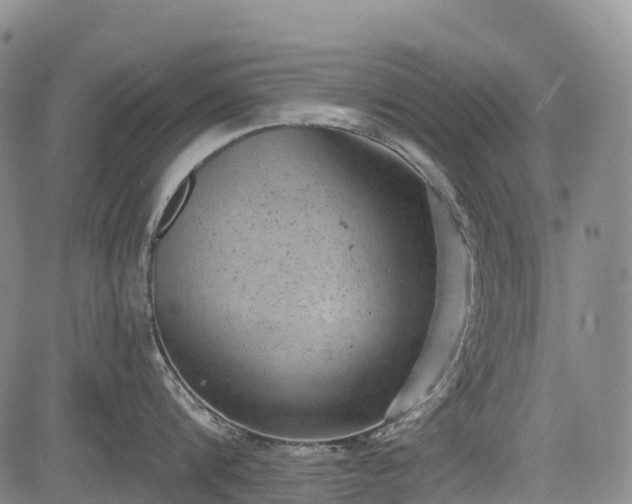 X0000085040816200703121432