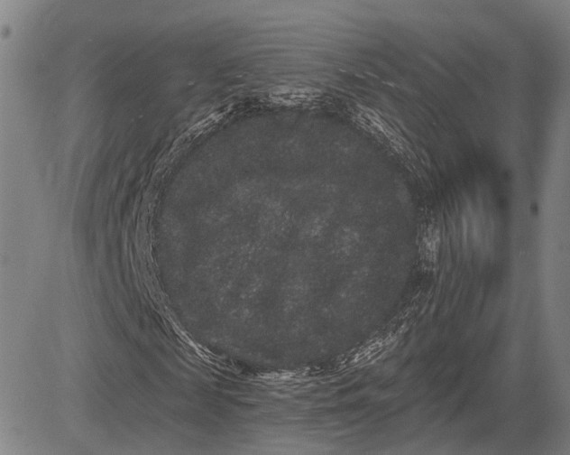 X0000085040817200703121431