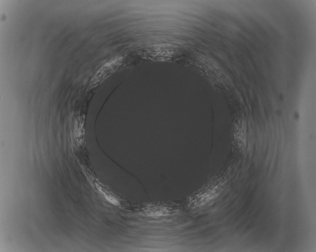 X0000085040818200703121431