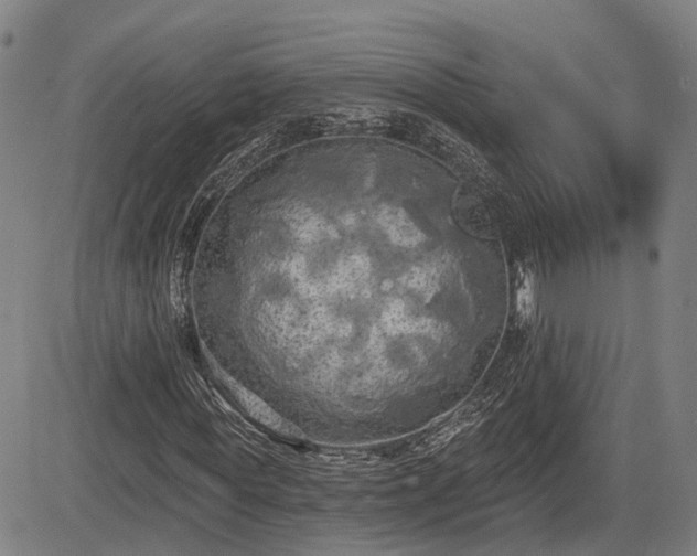 X0000085040819200703121431