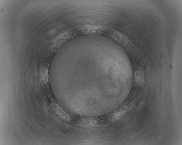 X0000085040820200703121431