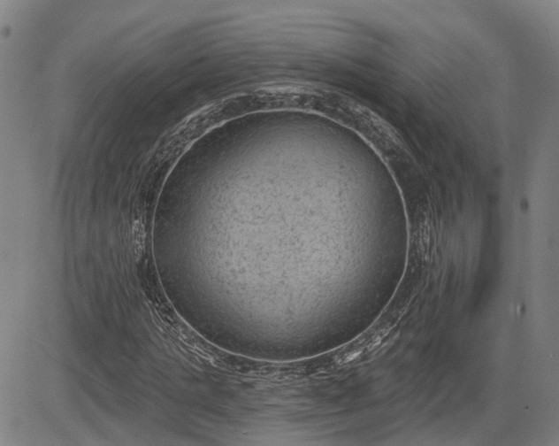 X0000085040821200703121431