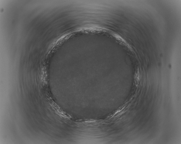 X0000085040822200703121431