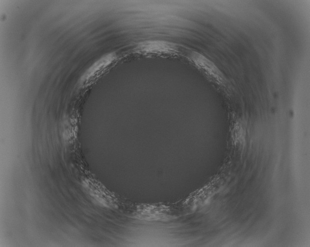 X0000085040824200703121431