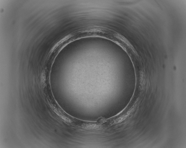 X0000085040826200703121431