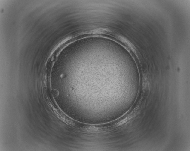 X0000085040827200703121431