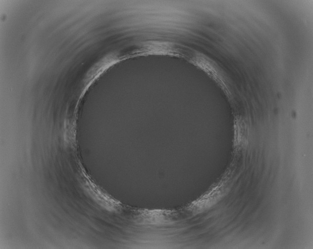 X0000085040828200703121431