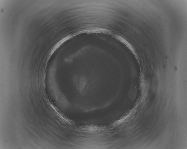 X0000085040829200703121431