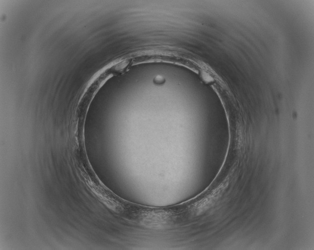 X0000085040830200703121431