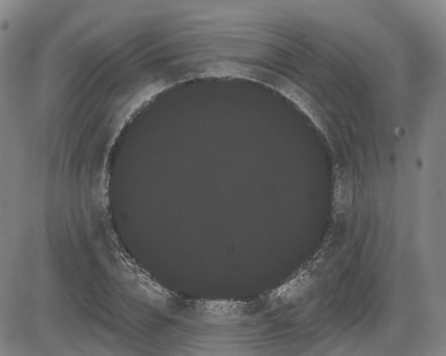 X0000085040832200703121431