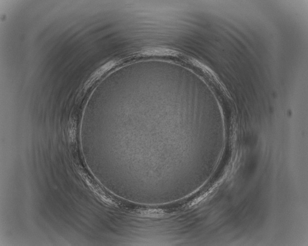 X0000085040833200703121431