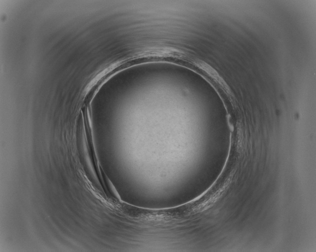 X0000085040834200703121431