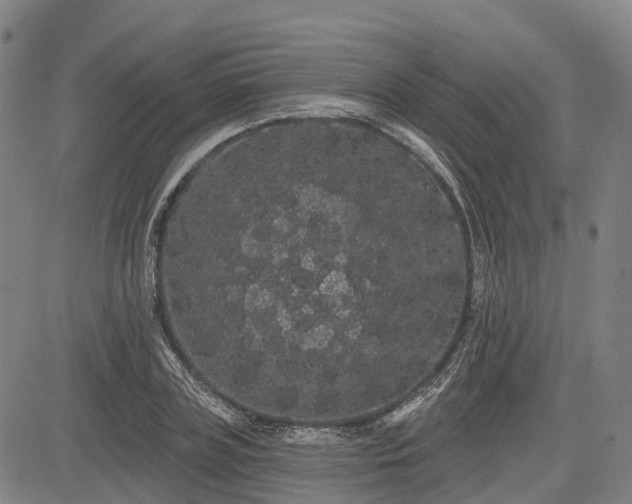 X0000085040835200703121431