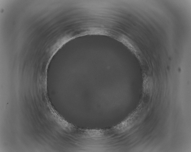 X0000085040836200703121431