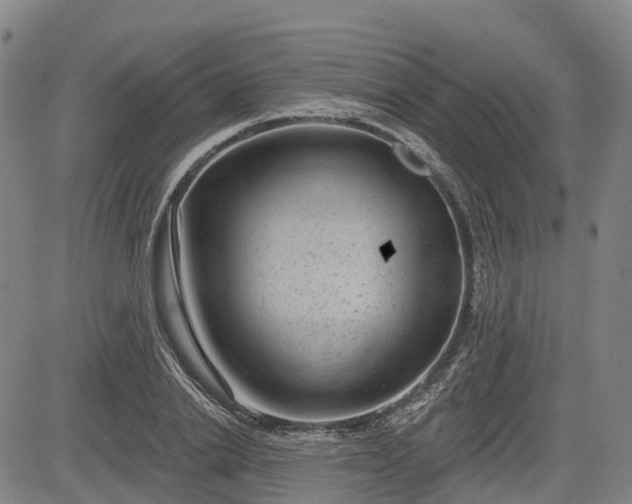 X0000085040838200703121431