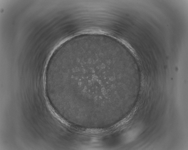 X0000085040840200703121431