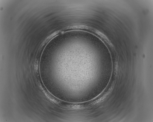 X0000085040841200703121431