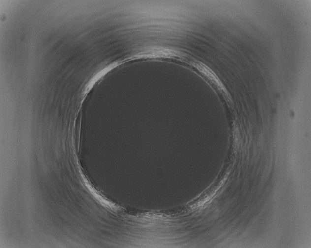 X0000085040842200703121431