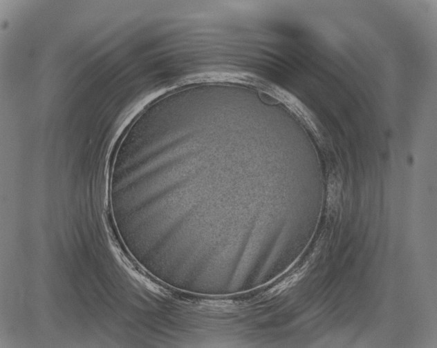 X0000085040844200703121431