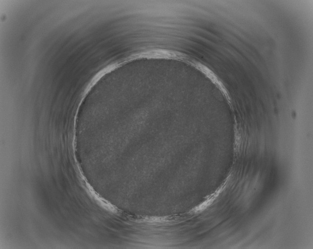 X0000085040845200703121431