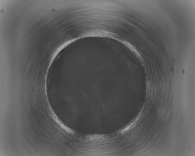 X0000085040846200703121431