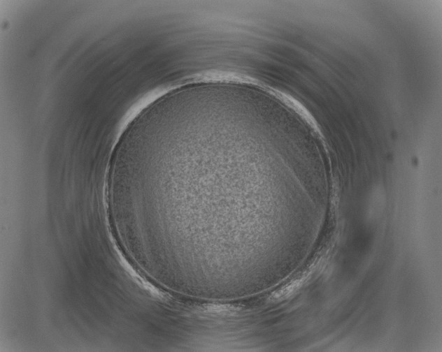 X0000085040847200703121431