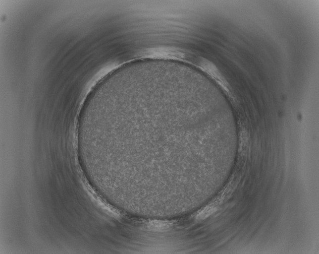 X0000085040848200703121431