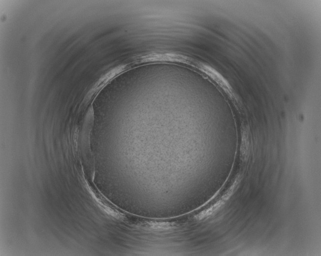 X0000085040849200703121431