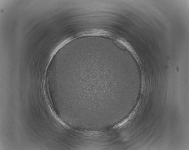 X0000085040850200703121431