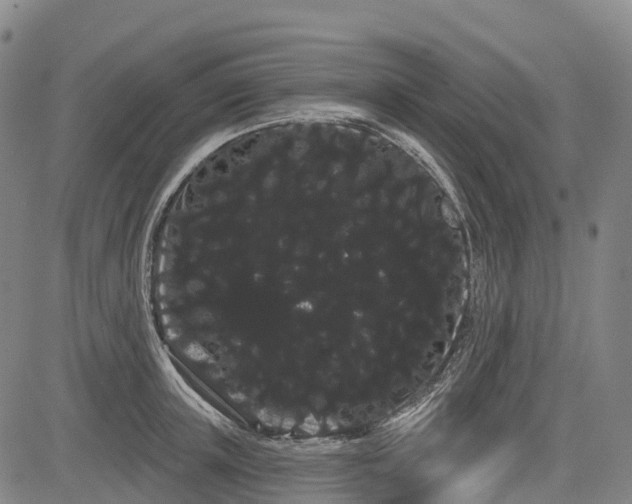 X0000085040851200703121431