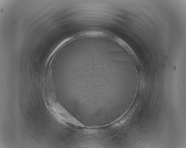 X0000085040852200703121431