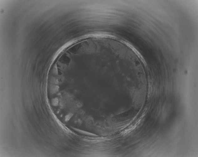 X0000085040853200703121431