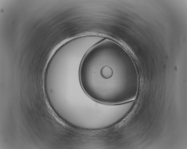 X0000085040854200703121432