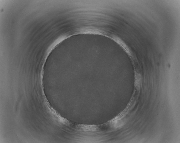 X0000085040856200703121432