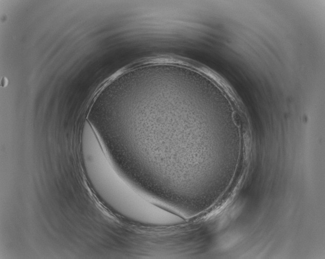 X0000085040857200703121432