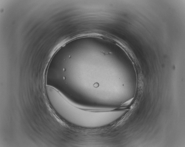 X0000085040858200703121432