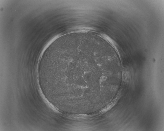 X0000085040859200703121432