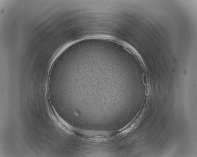 X0000085040860200703121432