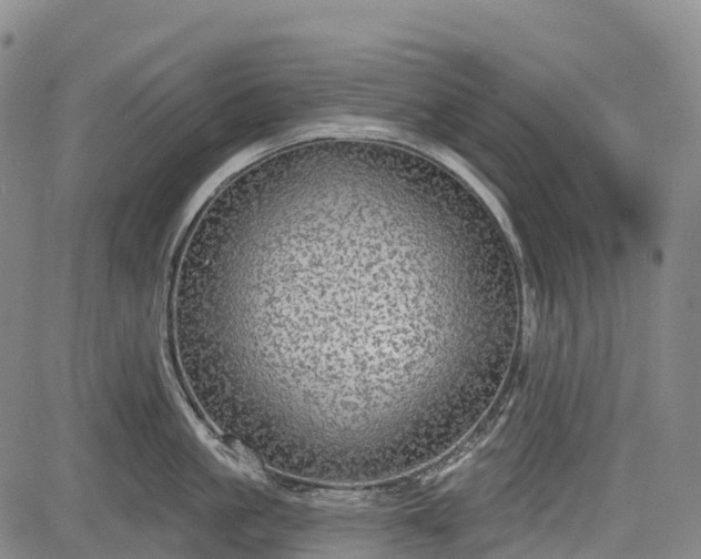 X0000085040861200703121432