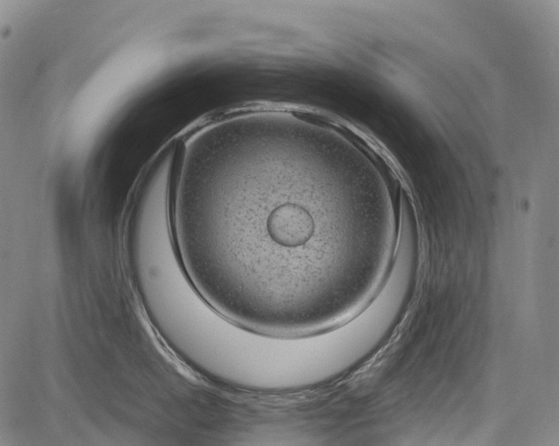 X0000085040862200703121432