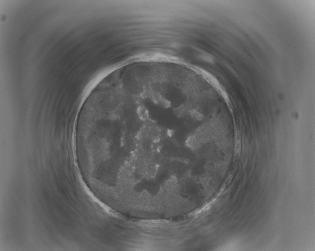 X0000085040863200703121432